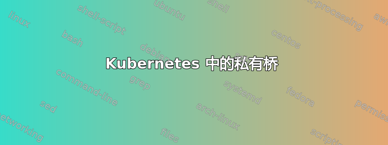 Kubernetes 中的私有桥