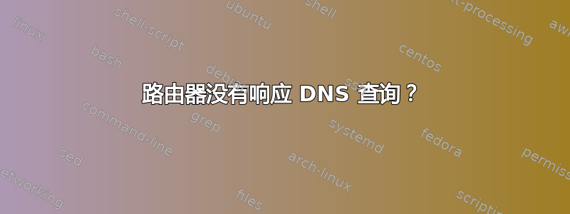 路由器没有响应 DNS 查询？