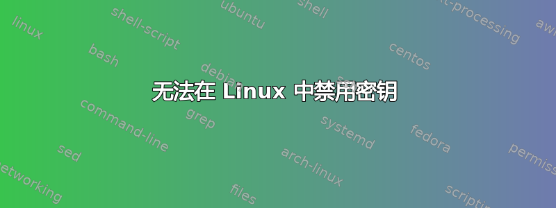 无法在 Linux 中禁用密钥