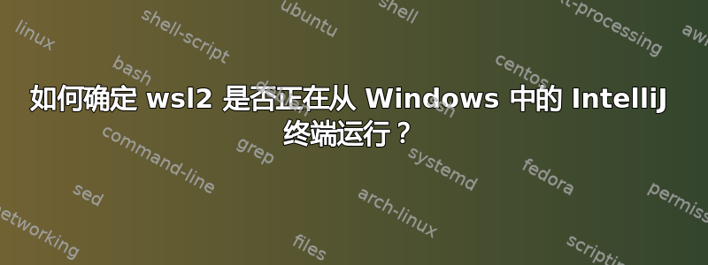 如何确定 wsl2 是否正在从 Windows 中的 IntelliJ 终端运行？