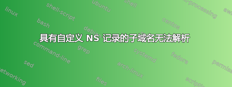 具有自定义 NS 记录的子域名无法解析