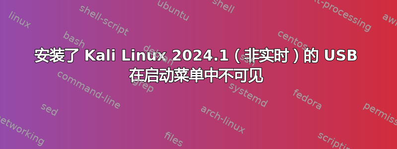 安装了 Kali Linux 2024.1（非实时）的 USB 在启动菜单中不可见