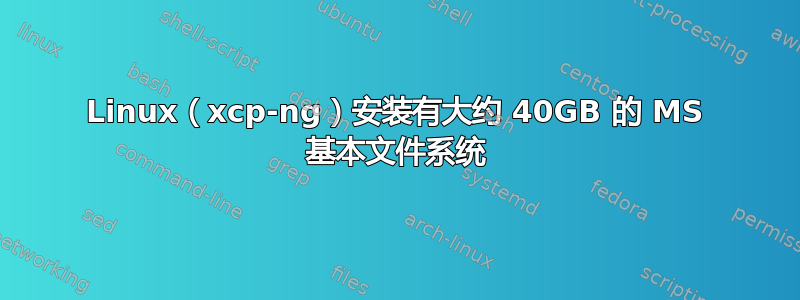 Linux（xcp-ng）安装有大约 40GB 的 MS 基本文件系统