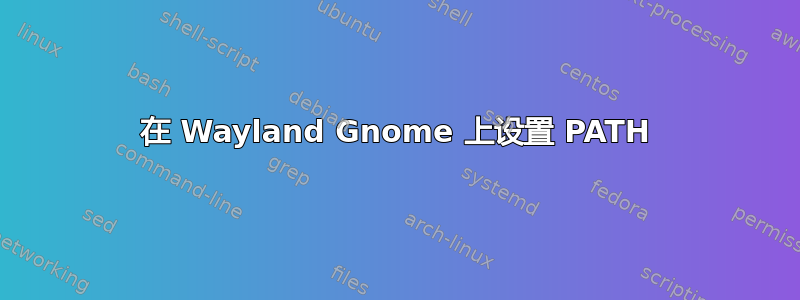 在 Wayland Gnome 上设置 PATH