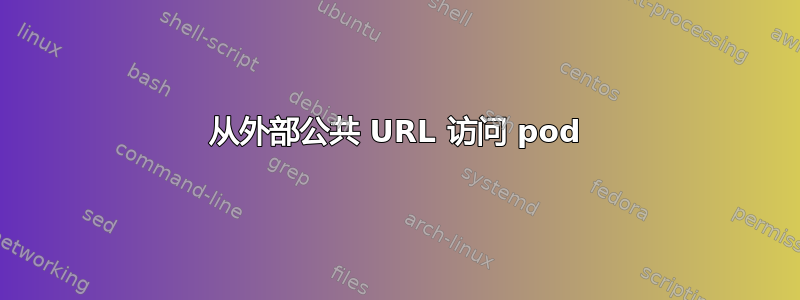 从外部公共 URL 访问 pod