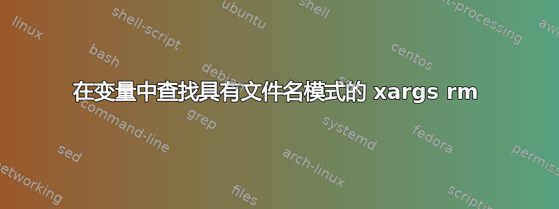 在变量中查找具有文件名模式的 xargs rm