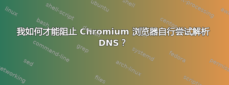 我如何才能阻止 Chromium 浏览器自行尝试解析 DNS？