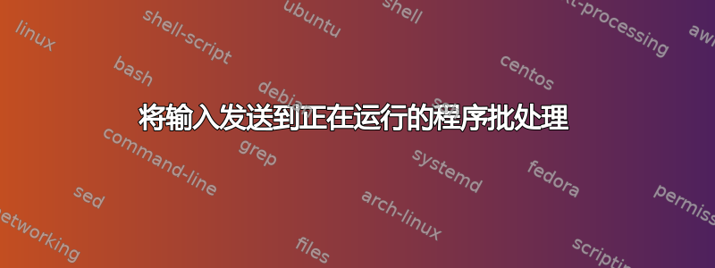 将输入发送到正在运行的程序批处理