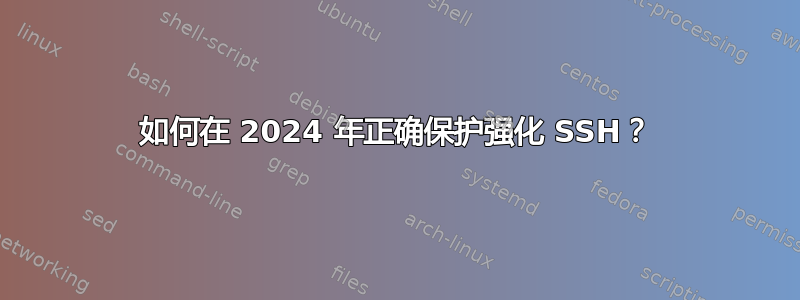 如何在 2024 年正确保护强化 SSH？