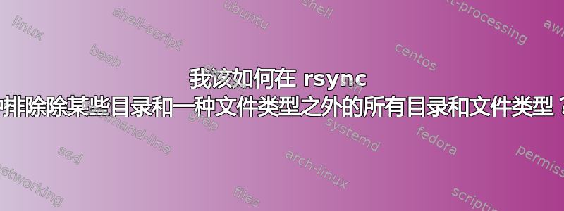 我该如何在 rsync 中排除除某些目录和一种文件类型之外的所有目录和文件类型？