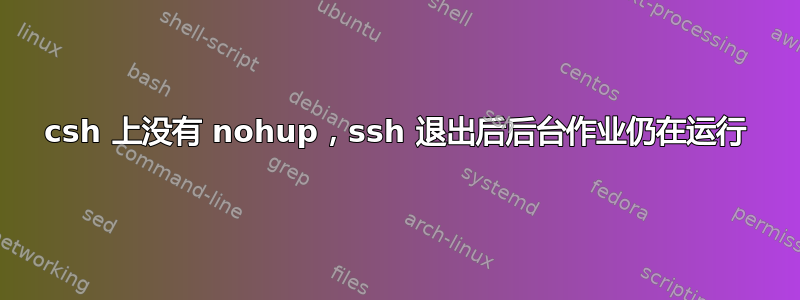 csh 上没有 nohup，ssh 退出后后台作业仍在运行