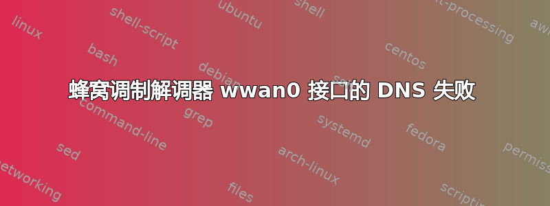 蜂窝调制解调器 wwan0 接口的 DNS 失败