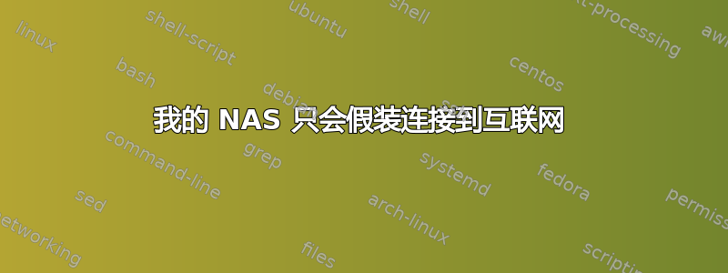 我的 NAS 只会假装连接到互联网