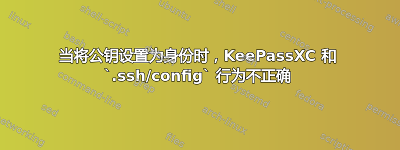 当将公钥设置为身份时，KeePassXC 和 `.ssh/config` 行为不正确