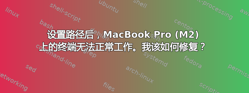 设置路径后，MacBook Pro (M2) 上的终端无法正常工作。我该如何修复？