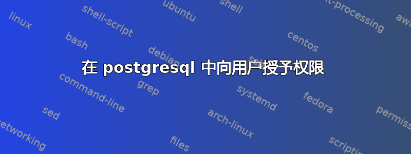 在 postgresql 中向用户授予权限