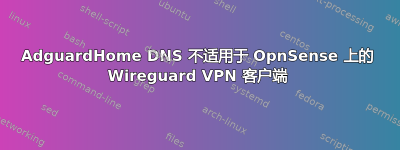 AdguardHome DNS 不适用于 OpnSense 上的 Wireguard VPN 客户端