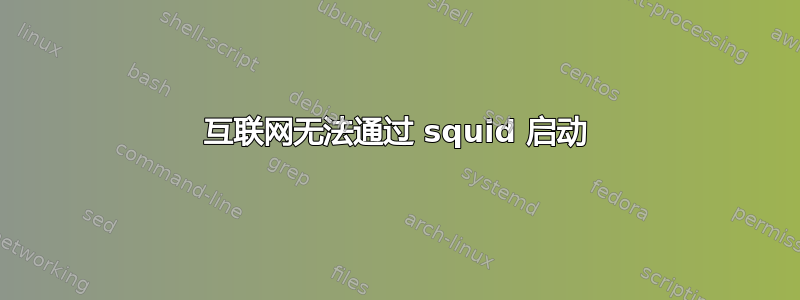 互联网无法通过 squid 启动