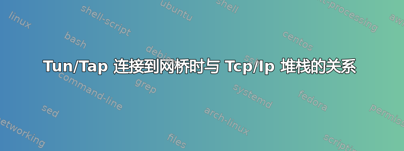 Tun/Tap 连接到网桥时与 Tcp/Ip 堆栈的关系