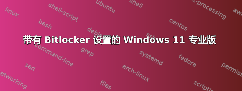 带有 Bitlocker 设置的 Windows 11 专业版