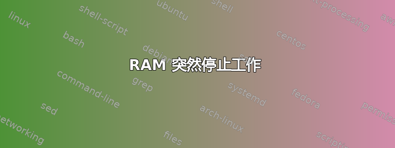 RAM 突然停止工作