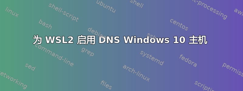 为 WSL2 启用 DNS Windows 10 主机