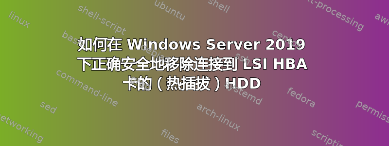 如何在 Windows Server 2019 下正确安全地移除连接到 LSI HBA 卡的（热插拔）HDD