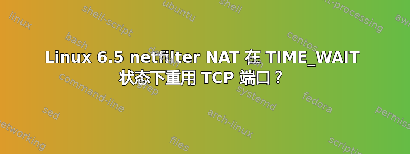 Linux 6.5 netfilter NAT 在 TIME_WAIT 状态下重用 TCP 端口？