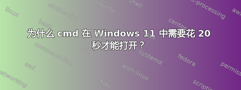 为什么 cmd 在 Windows 11 中需要花 20 秒才能打开？