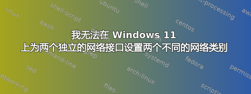 我无法在 Windows 11 上为两个独立的网络接口设置两个不同的网络类别