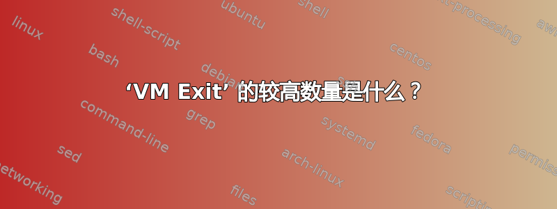 ‘VM Exit’ 的较高数量是什么？