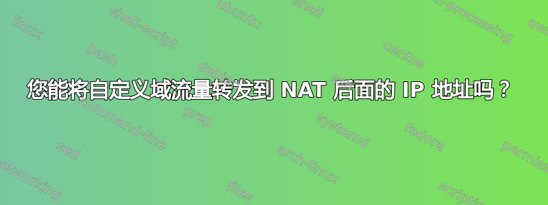 您能将自定义域流量转发到 NAT 后面的 IP 地址吗？