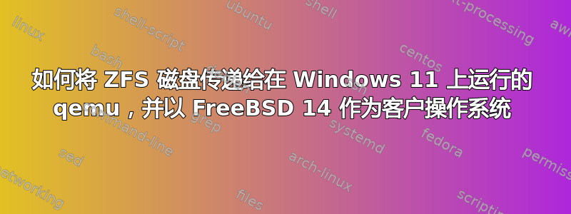 如何将 ZFS 磁盘传递给在 Windows 11 上运行的 qemu，并以 FreeBSD 14 作为客户操作系统