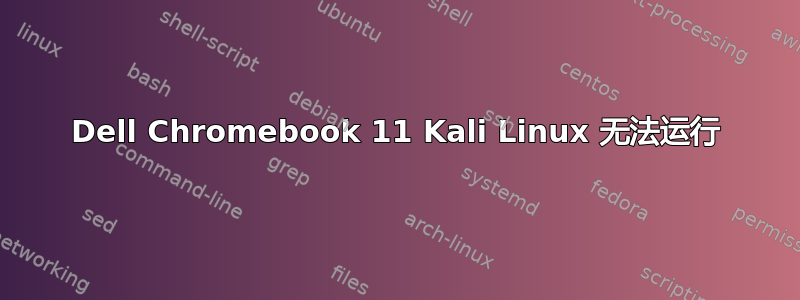 Dell Chromebook 11 Kali Linux 无法运行