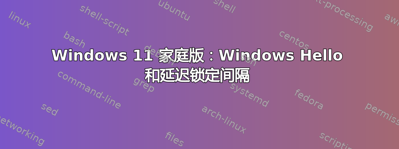 Windows 11 家庭版：Windows Hello 和延迟锁定间隔