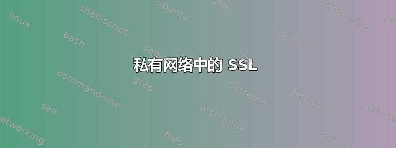 私有网络中的 SSL