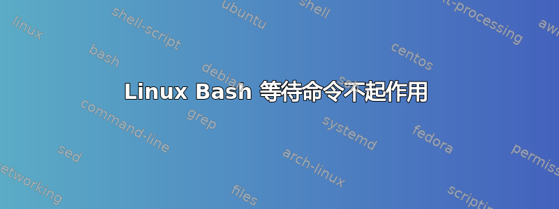 Linux Bash 等待命令不起作用