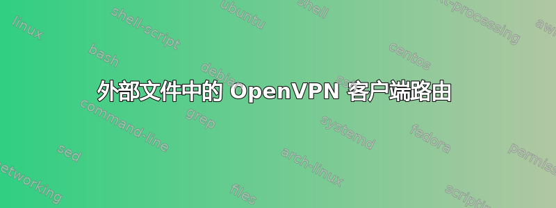 外部文件中的 OpenVPN 客户端路由