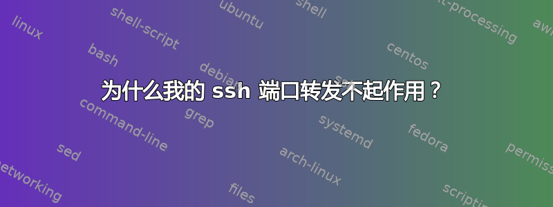 为什么我的 ssh 端口转发不起作用？