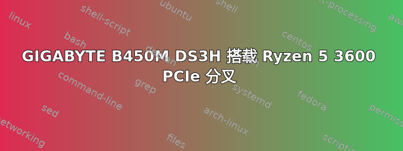 GIGABYTE B450M DS3H 搭载 Ryzen 5 3600 PCIe 分叉