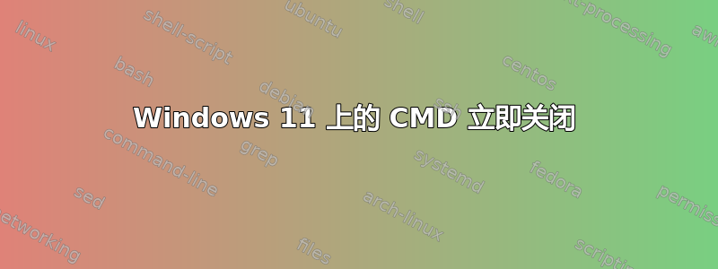 Windows 11 上的 CMD 立即关闭