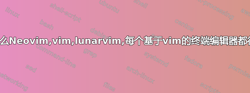 为什么Neovim,vim,lunarvim,每个基于vim的终端编辑器都很慢