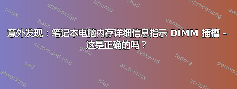 意外发现：笔记本电脑内存详细信息指示 DIMM 插槽 – 这是正确的吗？