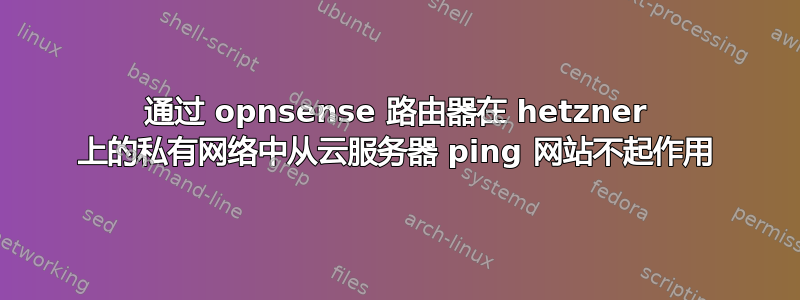 通过 opnsense 路由器在 hetzner 上的私有网络中从云服务器 ping 网站不起作用