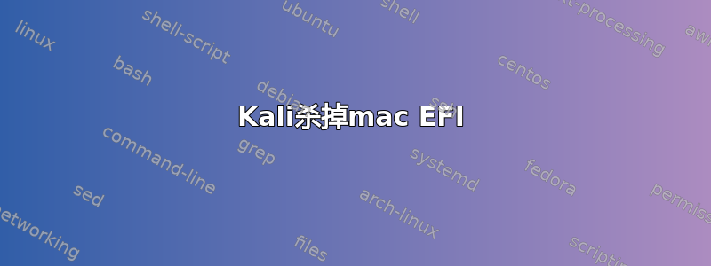 Kali杀掉mac EFI