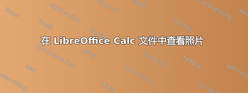 在 LibreOffice Calc 文件中查看照片