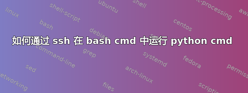 如何通过 ssh 在 bash cmd 中运行 python cmd