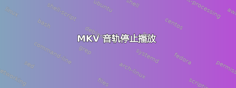 MKV 音轨停止播放