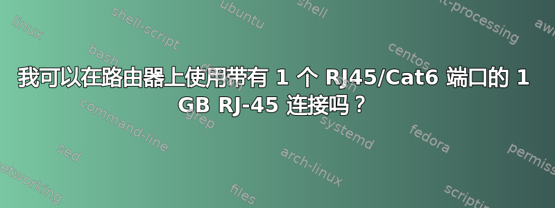 我可以在路由器上使用带有 1 个 RJ45/Cat6 端口的 1 GB RJ-45 连接吗？