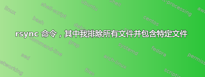 rsync 命令，其中我排除所有文件并包含特定文件